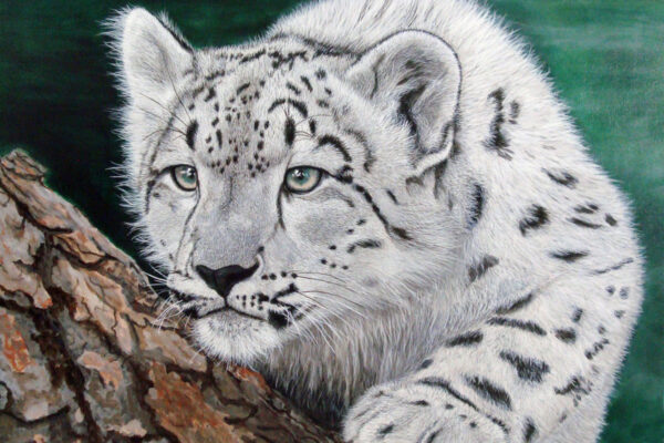 Lorraine Lamirande artiste peintre