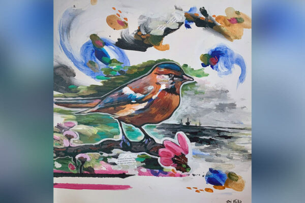 Ani Müller, artiste peintre